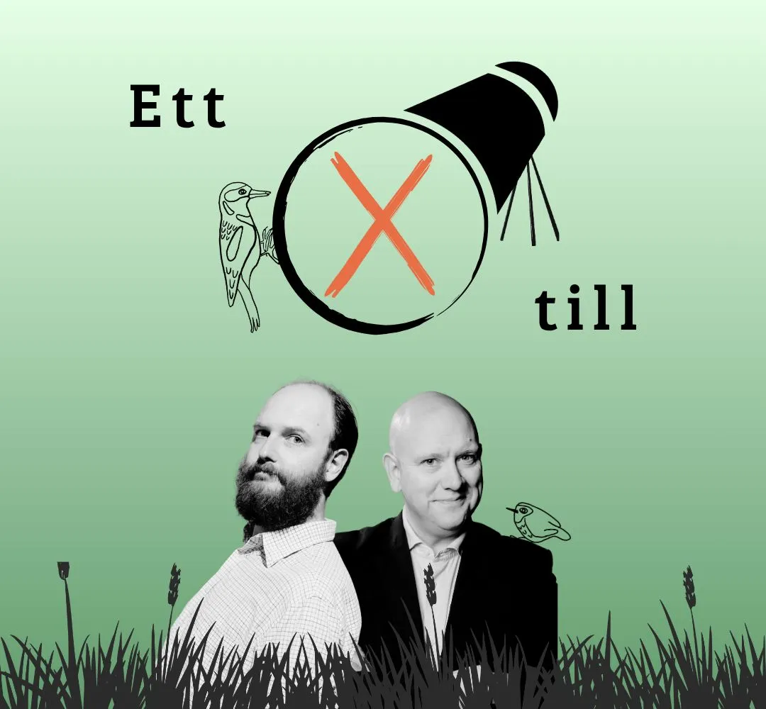 Ett kryss till